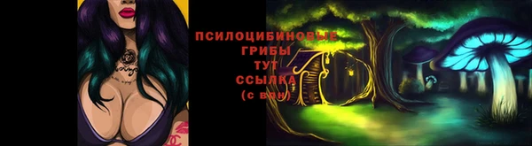 ALPHA PVP Магадан