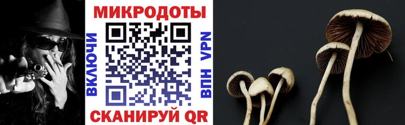 Галлюциногенные грибы ЛСД  Ростов-на-Дону 