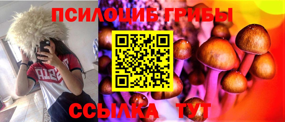 Галлюциногенные грибы GOLDEN TEACHER  Вход с VPN  Ростов-на-Дону 